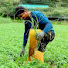 xvrHM95RMfw-channel-avatar-Laxman Bal
