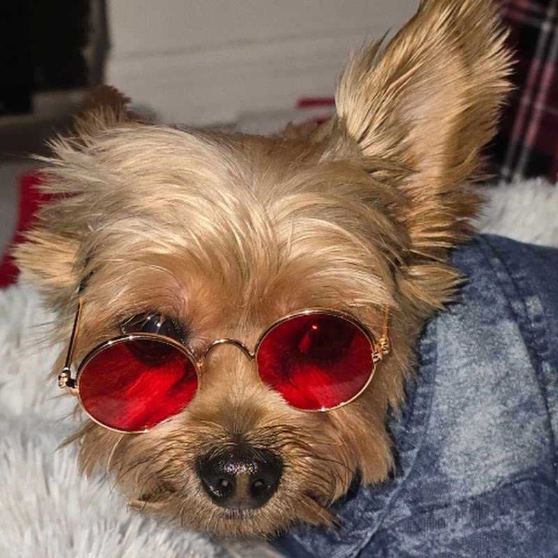 Kiko_Pitiko_Official 