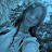 @like_Rayli