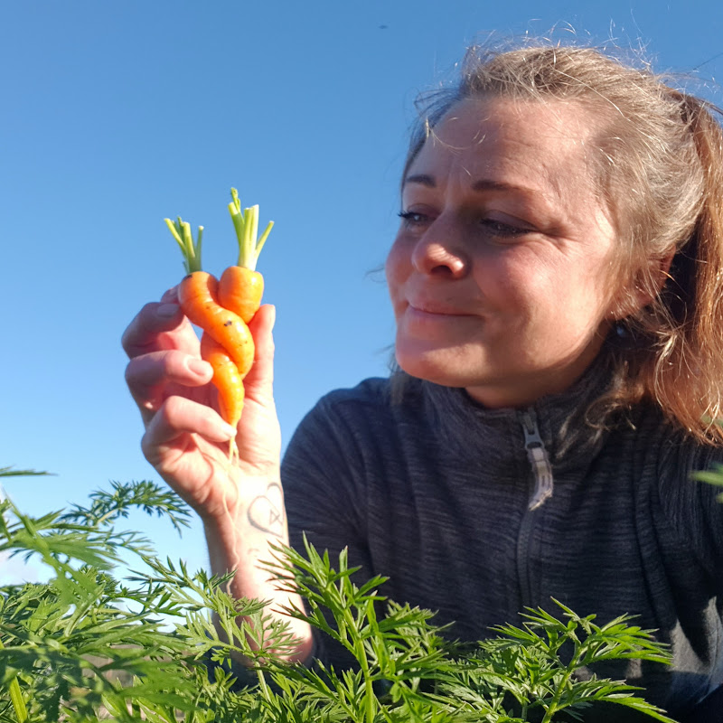 Life as a Veg Gardener
