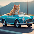 L17R5MvyTZo-channel-avatar-Car and cat