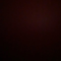 Channel thumbnail for Dina Celine Official