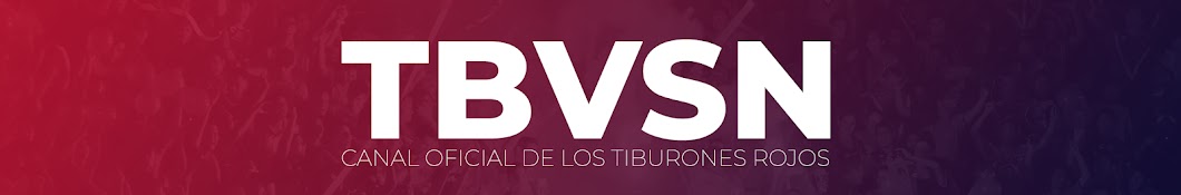 TibuvisiÃ³n YouTube kanalı avatarı