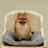 @TV-qj2on
