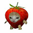 x2m7EpmoTxY-channel-avatar-VibeChoice