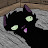 @STOPIDCAT Avatar