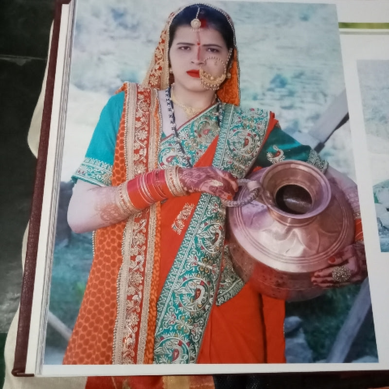 savitri Farswan vlogs