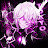 TokyoPlayer