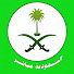FjXf2PYcT-E-channel-avatar-السعودية مباشر