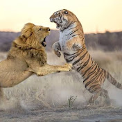 WildLife Attack 