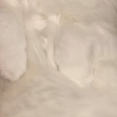 ぱん