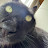 @Banana25-12 Avatar