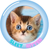 Sleet Kitten
