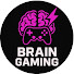 a315fUauOjA-channel-avatar-Brain Gaming