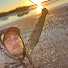 7itSP2UaF7g-channel-avatar-Alex Field 