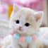 IqwkYoCzZss-channel-avatar-We Love Pets