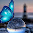 Hxq5Q4HX-zc-channel-avatar-Butterfly🦋
