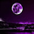 @عبير-ن4ت