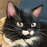 GvnvSfJp6sY-channel-avatar-Yap Bargain Bin and Yap Emporium