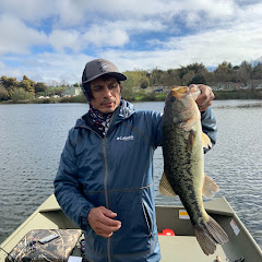 Projectbass