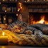 a3CIjmJxYso-channel-avatar-Relaxing Cat Piano
