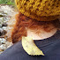 0JUr2Jf4fEk-channel-avatar-Alice Marini’s Hand Embroidery | Gingers Leaves