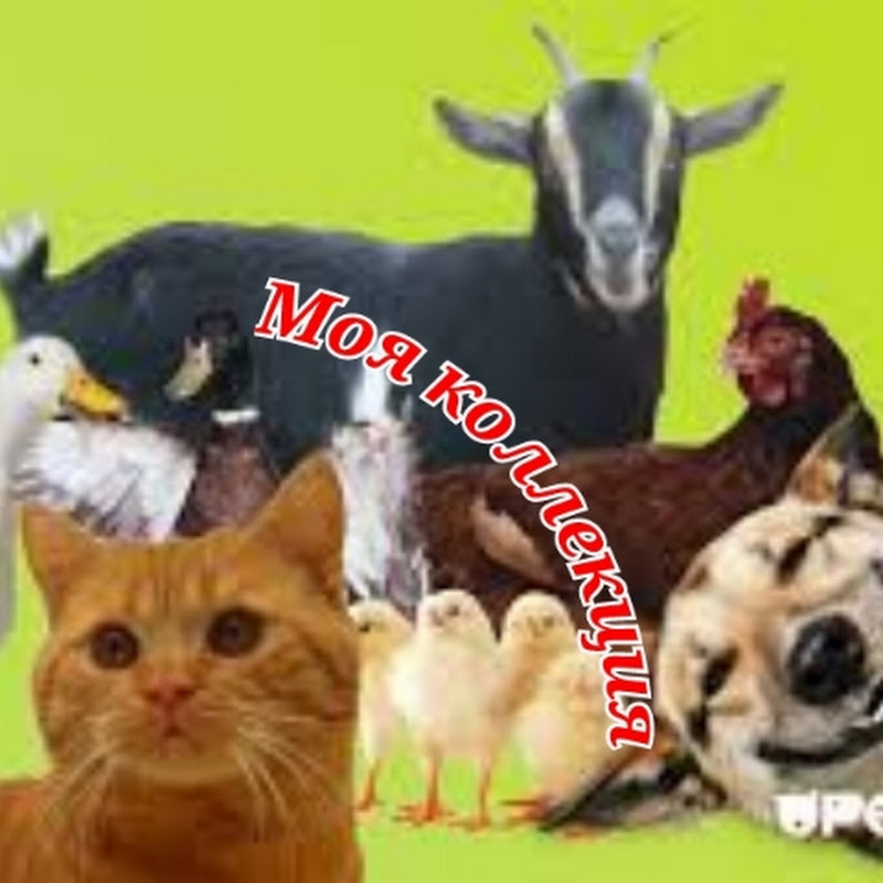 Мир животных