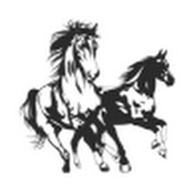 Wildfire Mountain Ranch