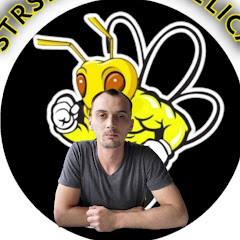 Strsljen Vlog net worth