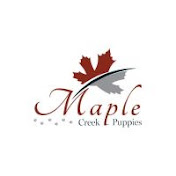 Maple Creek Puppies