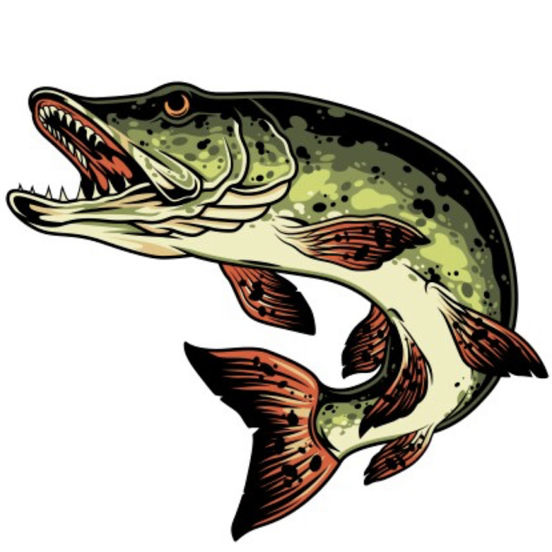 🏴󠁧󠁢󠁳󠁣󠁴󠁿Scottish pike channel🏴󠁧󠁢󠁳󠁣󠁴󠁿