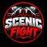 VArMoX3NZHY-channel-avatar-SCENIC FIGHT