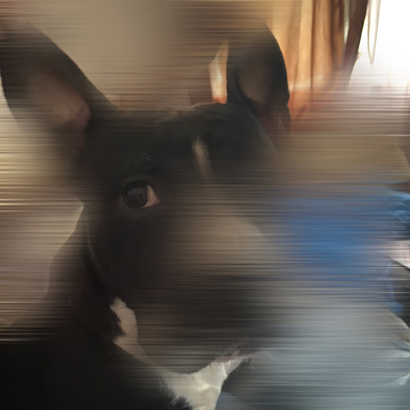 Editt_2.3