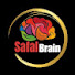DhW2gmICbJU-channel-avatar-Safal Brain