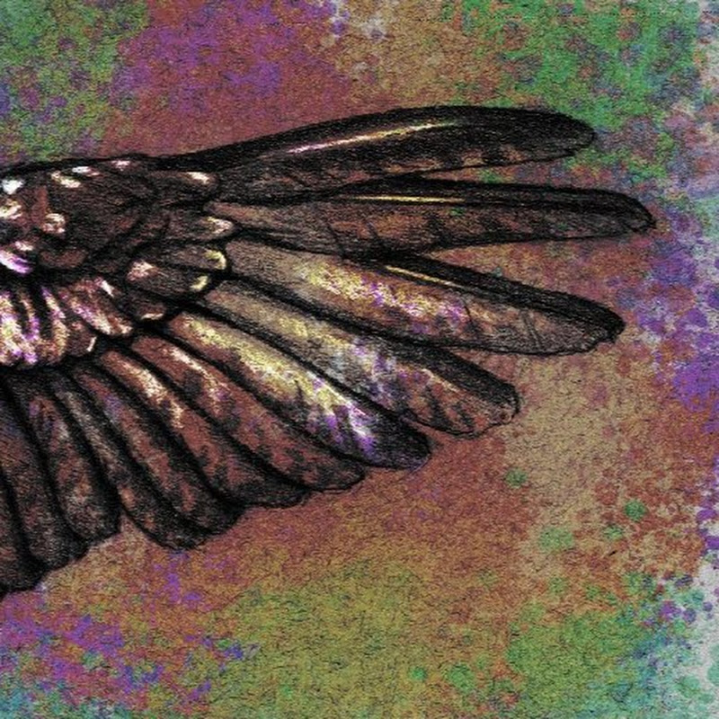 Affinity stuff 'n' things