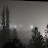 @ForestryCapacitor Avatar