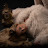 Ariann Music
