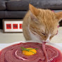 cat eating time logo