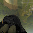 DYbYeR_JRVg-channel-avatar-Patrick Clear