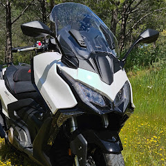 SibiGR Avatar