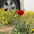 @zeyad388