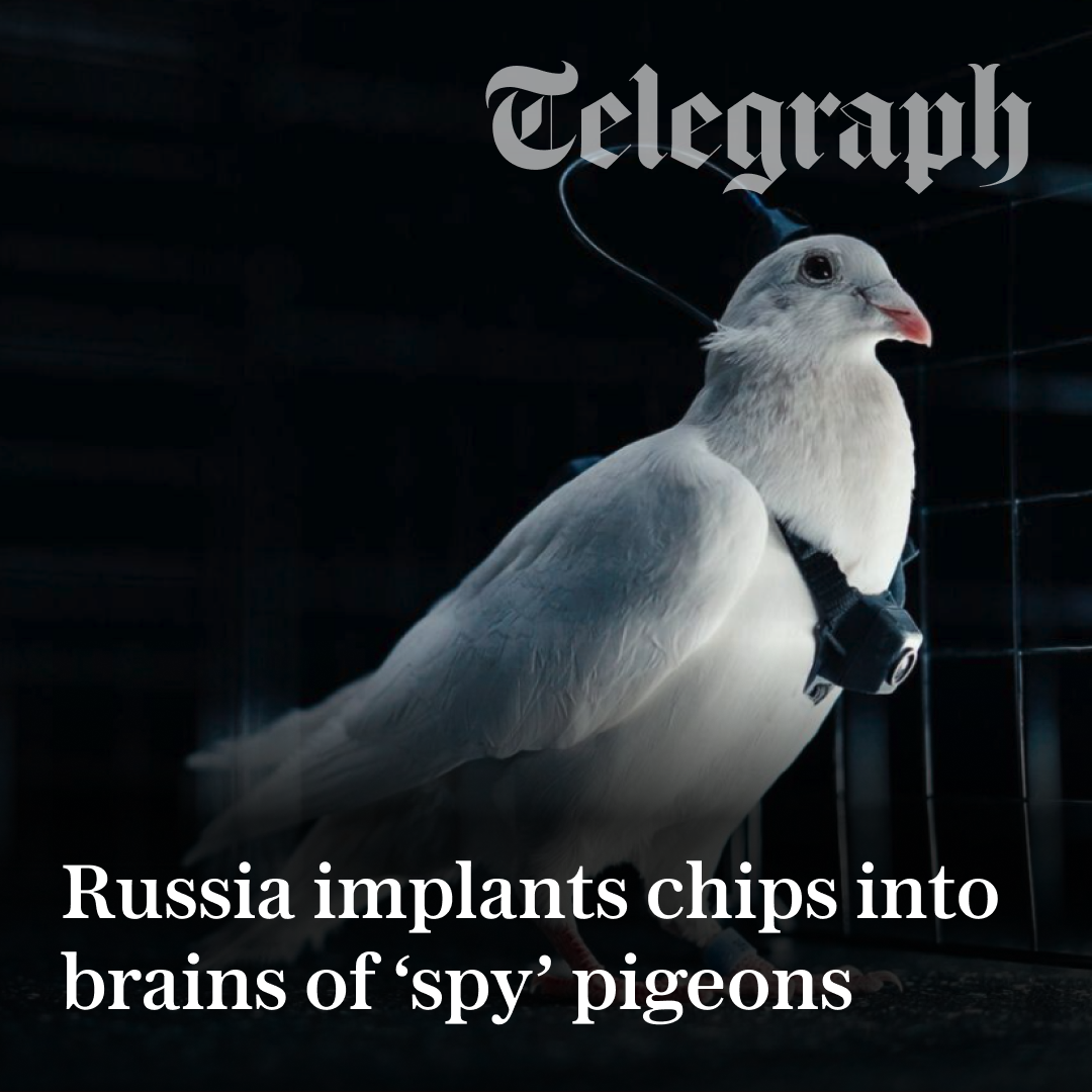 Post from The Telegraph