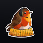 Robinus YouTube channel avatar