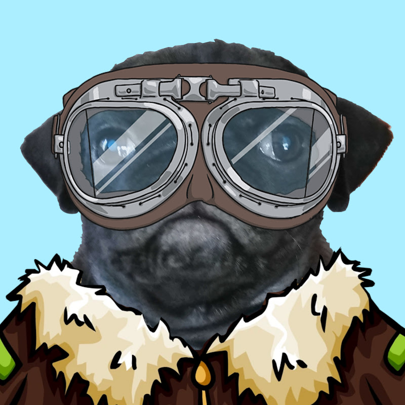 Pilot Pug