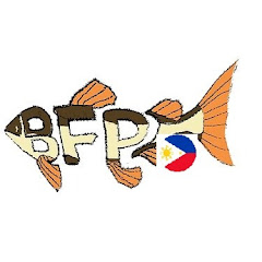 Bass Fishing Productions BFPNation