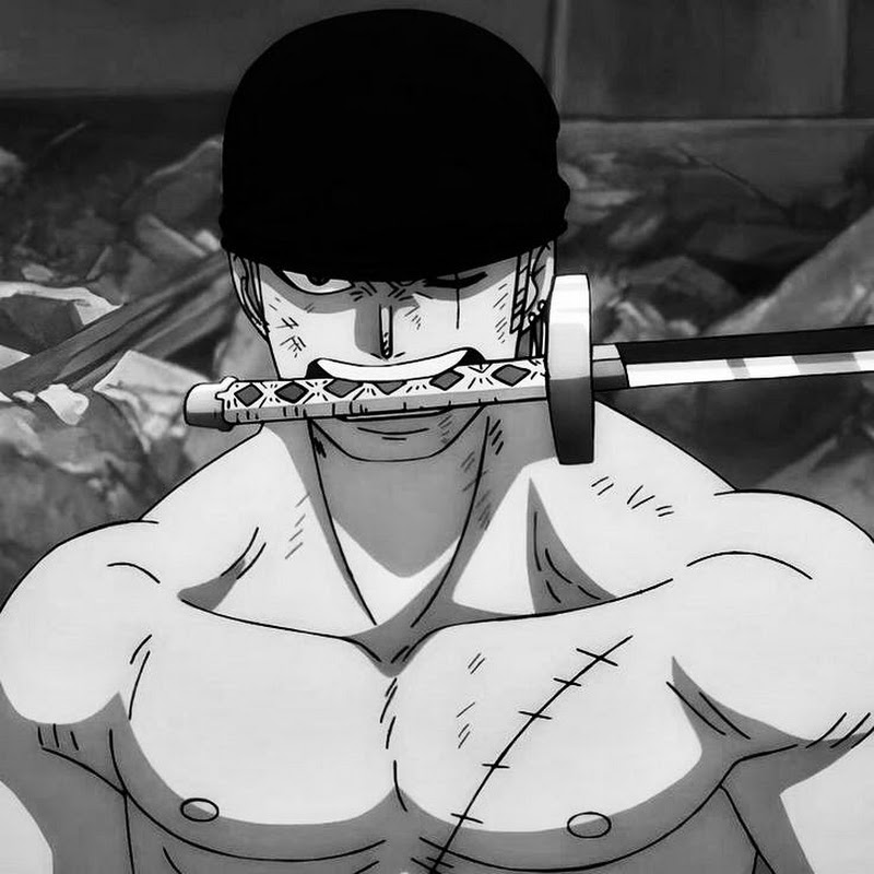 Roronoa zoro