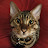 @fredthesavannahcat2899 Avatar
