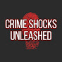 Crime Shocks Unleashed logo