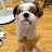 @sewoonglee6340