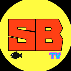 Sats Base TV
